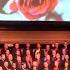 The Rose I Boston Gay Men S Chorus