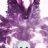 We Are Strongest Godzilla Kong Shorts Viral