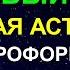 КУРС НАТАЛЬНАЯ АСТРОЛОГИЯ И АСТРОПРОФОРИЕНТАЦИЯ БОЛЕЕ 100 А ЧАСОВ КОНЦЕНТРИРОВАННОЙ АСТРОЛОГИИ