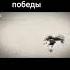всем с днём великой победы всем с 9 мая Shorts Video Army Россия деньпобеды