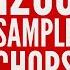 FREE 1200 VINTAGE SAMPLE CHOPS