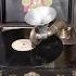 Super Pixie Grippa Gramophone Grammophon Phonograph