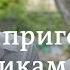 Соболь приговорили к полутора годам ограничения свободы