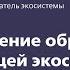 Переосмысление образования как обучающей экосистемы Грег Бер Euroskills 2023 Worldskills Russia