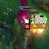 Leagueoflegends Dealersz Draven