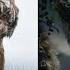 The Jungle Book Vs Mowgli CGI Animals