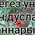 Ялгыз ана Лилия Латыпова Хамитова Фаниса Зарипова кое хэм сузларе Official