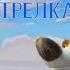 Белка и Стрелка Звёздные собаки тизер 2008 года