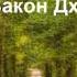 Изобилие и Закон Дхармы День 14 Медитация Дипак Чопра на русском