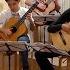 Peter Nuttall Alta Vista Guitar Orchestra