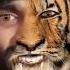 Lion Status For Tikaya Vista Song Attitude Status Arjit Singh Official Tranding 4k