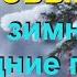 02 Новогодняя Караоке Дискотека Лучшие зимние и новогодние песни КАРАОКЕ НОН СТОП 2023 2024 Ч 2