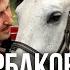Юрий Щербаков Наталья Щербакова Ох любовь ты любовь Сингл 2020 Русская музыка