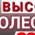 Высокий Холестерин в контексте Гиперкоагуляция Риск Смерти Метаболизм ЛПНП Исследования 2024