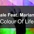 Colour Of Life Radio Version