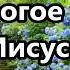 Дорогое Имя Иисуса Самая красивая христианская песня для тех кому трудно на пути