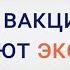 Мифы о вакцинации Отвечают эксперты А Горелов О российских вакцинах и иммунном ответе