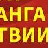 Она продала квартиру за 112 млн руб и потеряла деньги Лариса Долина личная жизнь биография