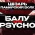 Nikitin VS Berserk Balu VS Psycho Caesar VS Pamirskiy Volk Zhelezniy VS Artist TOP DOG 31 Omsk