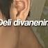 Ziynet Sali Deli Divanenim Speed Up Lyrics