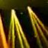 DJ Three Endo Meka January 1996 Miami FL