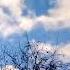 Облака плывут облака облако Clouds Cloudy Cloudyskylyrics тучи тучка туча