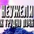 Утром я не разговариваю Shorts Kitcat