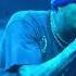 Chris Brown No Air Live 4K