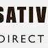 Basic Russian 1 Accusative Case With Direct Object Practice 1