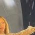 Beyoncé I M That Girl Cozy Alien Superstar Lift Off Kansas City Renaissance World Tour Last Show