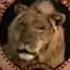 Metro Goldwyn Mayer 1991