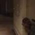 Splinter Cell Blacklist Music Vid