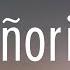 1 Hour Shawn Mendes Camila Cabello Señorita Lyrics Music For Your Mind