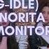 Senorita G IDLE In Ear Monitor Mix