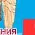 Откровения Ангелов Хранителей Начало 1 Любовь Панова Как устроен человек Читает Таль Ман