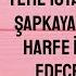 ԻՄ ՀԱՅՐԸ HACI VEYİS ZÂDE İBRAHİM EFENDİ ն է Հուշերի գիրք 1 Ալի Ուլվի հիմնադիր