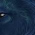 Captain Panic Tha Wolf