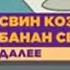 Nickelodeon плашка далее свин коза банан сверчок 2017 2023