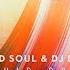 Liquid Soul DJ Dream Liquid Dream Sean Tyas Remix