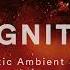 IGNITE Cinematic Ambient Loops Samples 1 17 GB Of Royalty Free Fire Fueled Samples