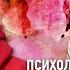 ЛИНА ДИАНОВА ЗАКАТ КАРЬЕРЫ МАНИПУЛЯЦИЯ ИЗВЕСТНОГО ЮТУБ ПСИХОЛОГА ОТВЕТ НА РАЗОБЛАЧЕНИЕ