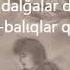 Qaraqan Men Ve Sen