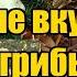 ВИДЫ ОСЕННИХ ГРИБОВ ГДЕ И КАК СОБИРАТЬ