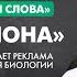 Лекция Евгении Тимоновой Купи слона Как работает реклама с точки зрения биологии Химия слова