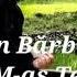 Biji Din Barbulesti De Cine M As Teme Negativ