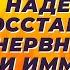 Рибоксин Надежда на восстановление нервной ткани и иммунитета