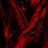 The Thing 1982 Horror Of The Unknown A Film Analysis