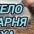 Аудиокнига ПОПАДАНЦЫ В ПРОШЛОЕ ПОПАЛ В ТЕЛО ХИЛОГО ПАРНЯ СИЛА ДУХА