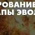 Формирование и основные этапы эволюции звезд Владимир Сурдин урок 37