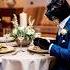 Purr Fect Wedding A Cat Love Story